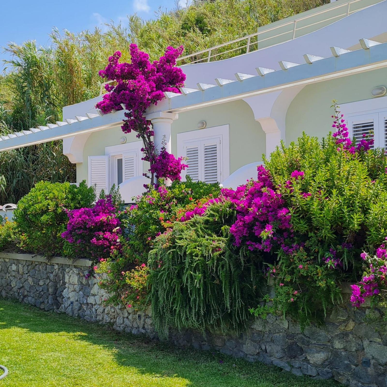 Hotel Albatros Forio di Ischia Buitenkant foto